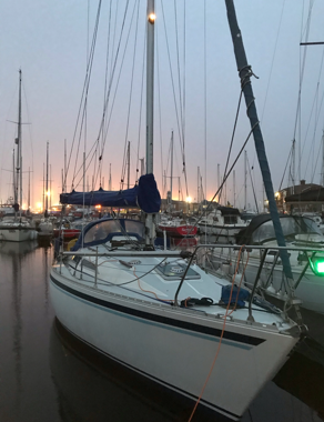 new boat 1.png