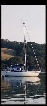 osprey at anchor.jpg