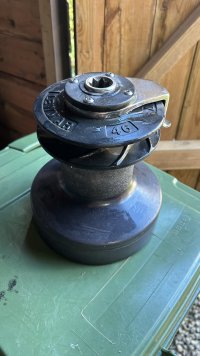 IMG_1029.JPEG