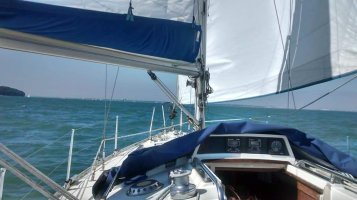 FB_IMG_1693635939235.jpg FB_IMG_1693635939235.jpg