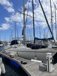 IMG_4158.jpeg