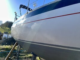 IMG_2225.jpeg