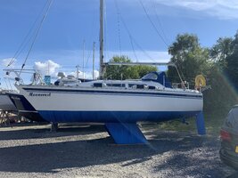 IMG_5034.jpeg