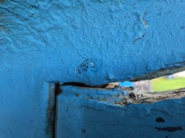 20251102_141556_k.jpg 20251102_141556_k.jpg