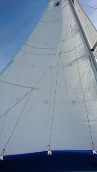 DSC_0559.JPG