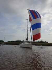 20260501_173727.jpg