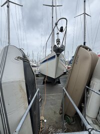 IMG_5247.jpeg
