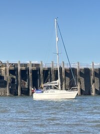 IMG_5455.jpeg IMG_5455.jpeg
