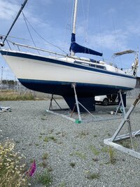 IMG_5129.jpeg