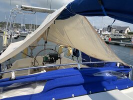 IMG_3465.jpeg
