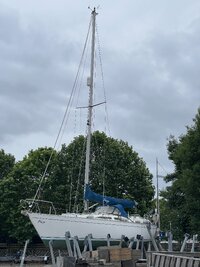 IMG_9749.jpeg