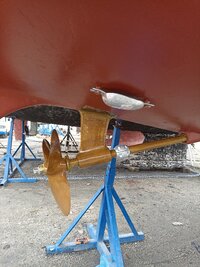 IMG_20240227_131644.jpg